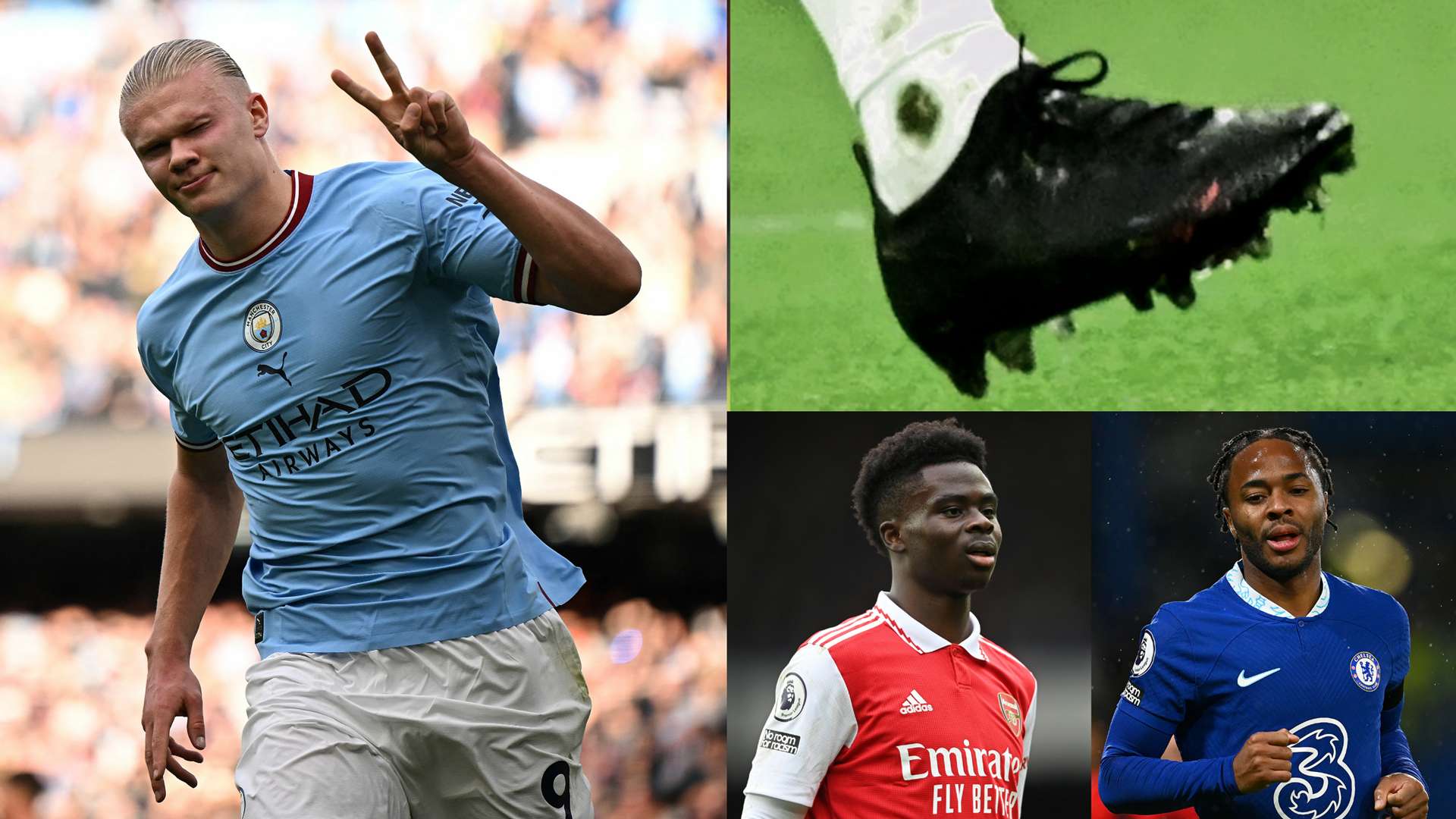 郑茗然的场 郑茗然的场