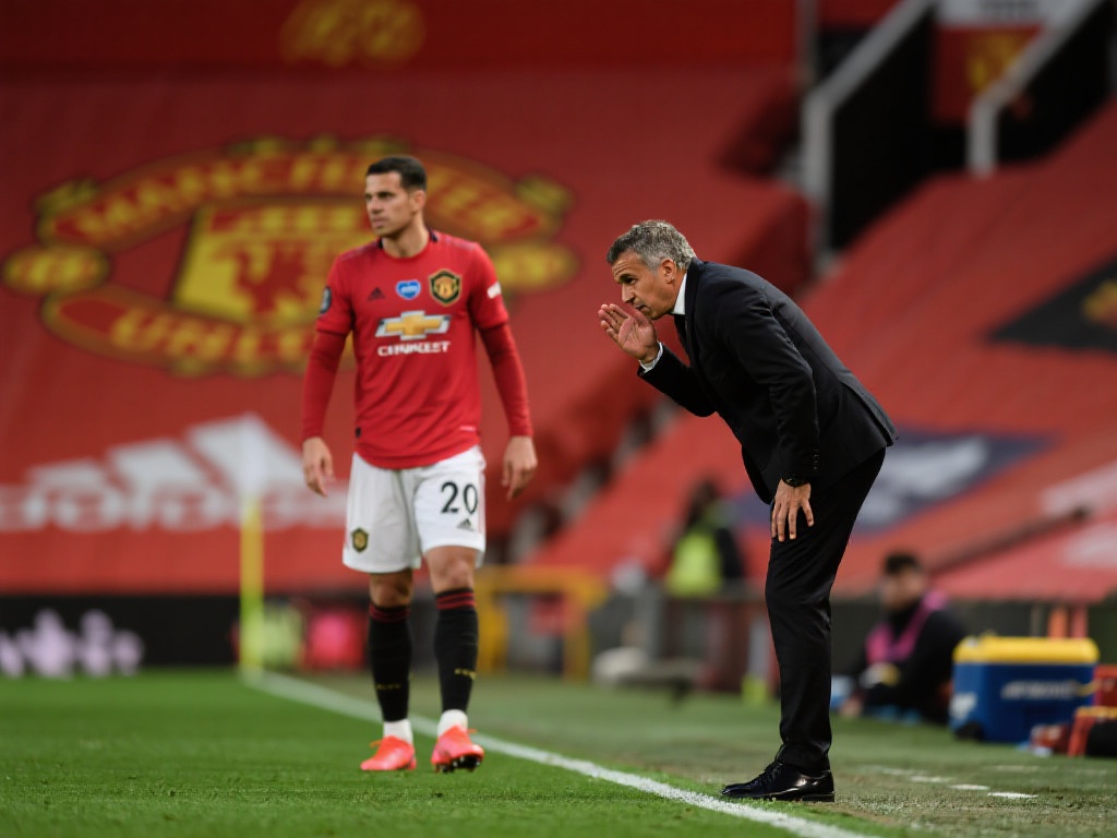 会对职业和 会对职业和